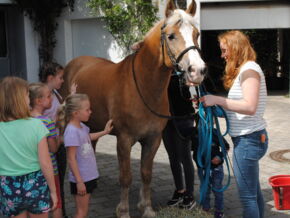 Streicheleinheiten für ein Pferd: Den Mädchen und Buben verbrachten gerne einen Moment bei der Voltigiergruppe.